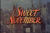 скриншот к Сладкий ноябрь / Sweet November