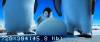 скриншот к Делай ноги / Happy Feet (2006) HDRip
