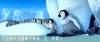 скриншот к Делай ноги / Happy Feet (2006) HDRip