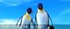 скриншот к Делай ноги / Happy Feet (2006) HDRip