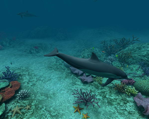 Dolphins 3D Screensaver and Animated Wallpaper 1.0 Build 3 (2012) PC