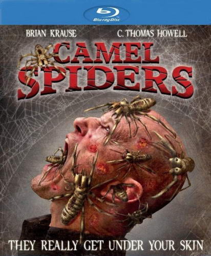 Верблюжьи пауки / Camel Spiders (2012) HDRip