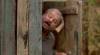 скриншот к Калачи (2011) DVDRip | Лицензия
