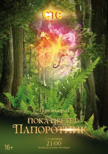 Пока цветет папоротник [01-13 из 13] (2012) SATRip