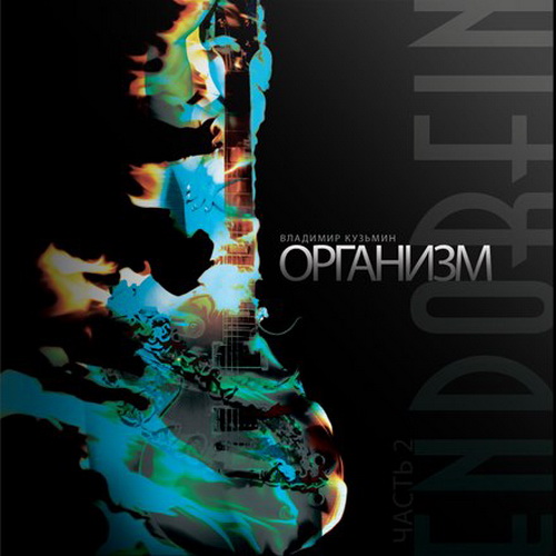 Владимир Кузьмин - EndOrFin: CD2 - Организм (2013) MP3