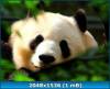 скриншот к Best Mix Wallpapers (62)