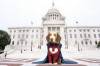 скриншот к Суперпес / Underdog (2007) BDRip
