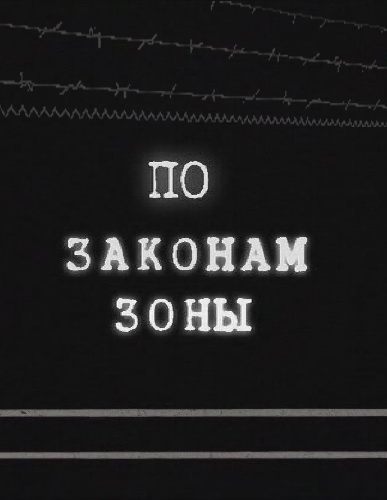 По Законам Зоны (2010) SATRip