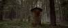 скриншот к Присутствие / The Presence (2010) DVDRip | Лицензия