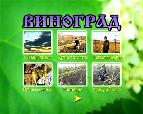Возделывание винограда (1999) DVDRip